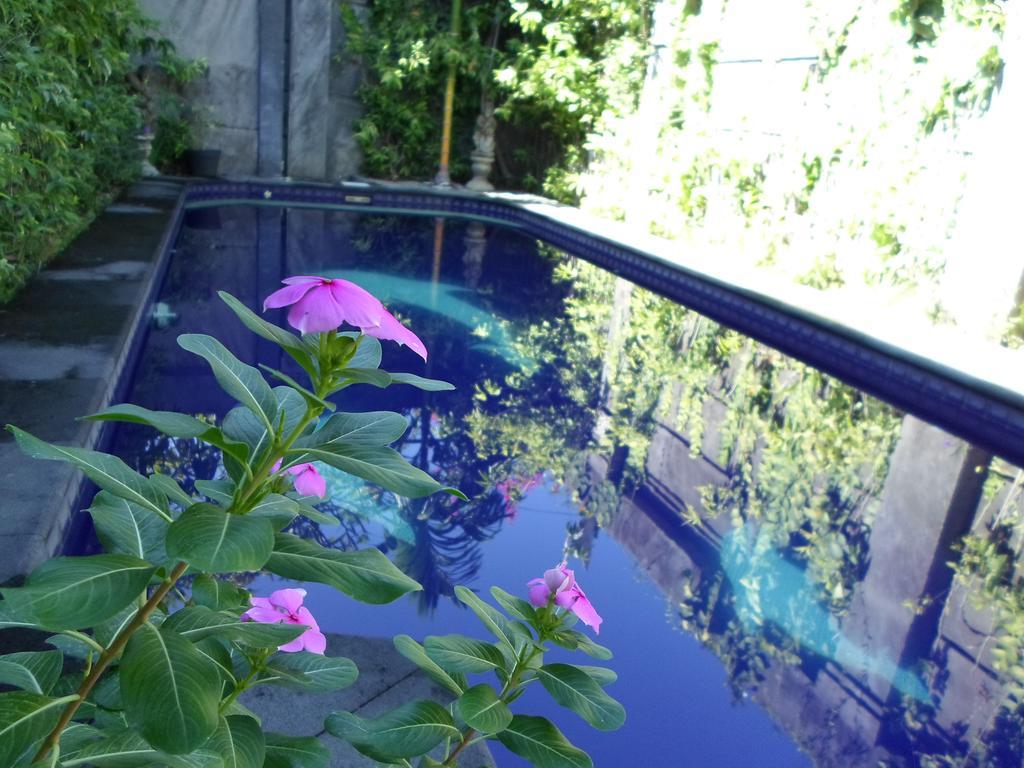 Hotel Bali Aman Darling House Canggu Exteriér fotografie