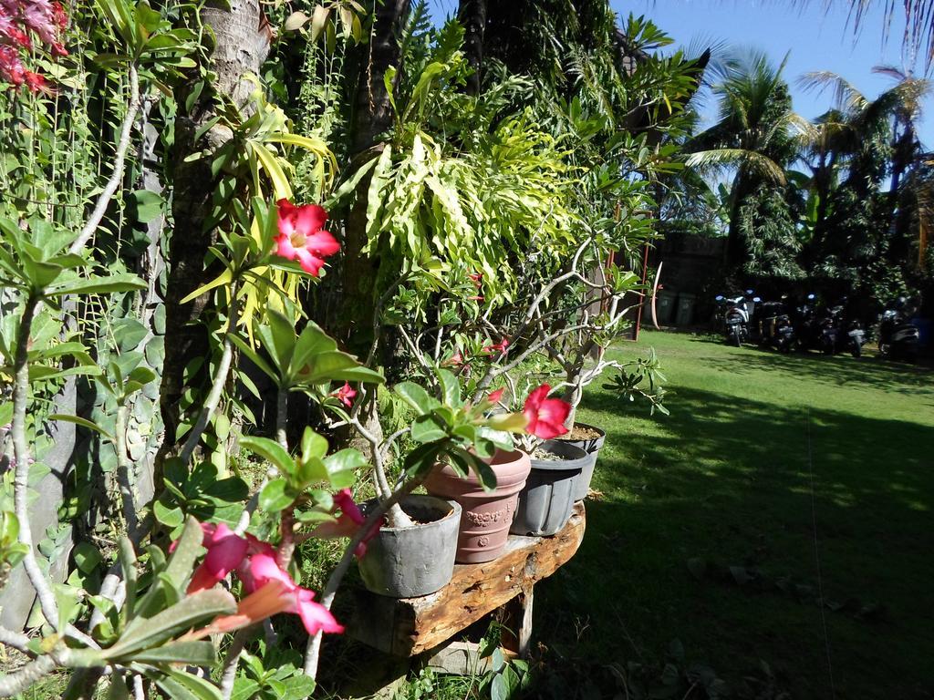 Hotel Bali Aman Darling House Canggu Exteriér fotografie