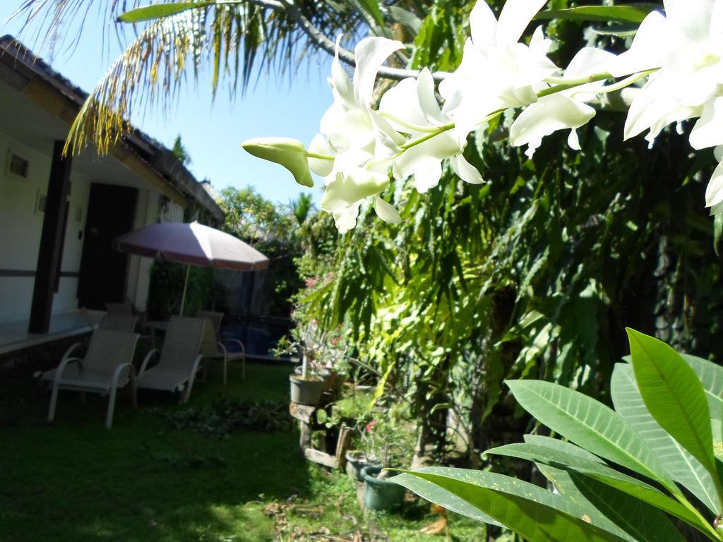 Hotel Bali Aman Darling House Canggu Exteriér fotografie