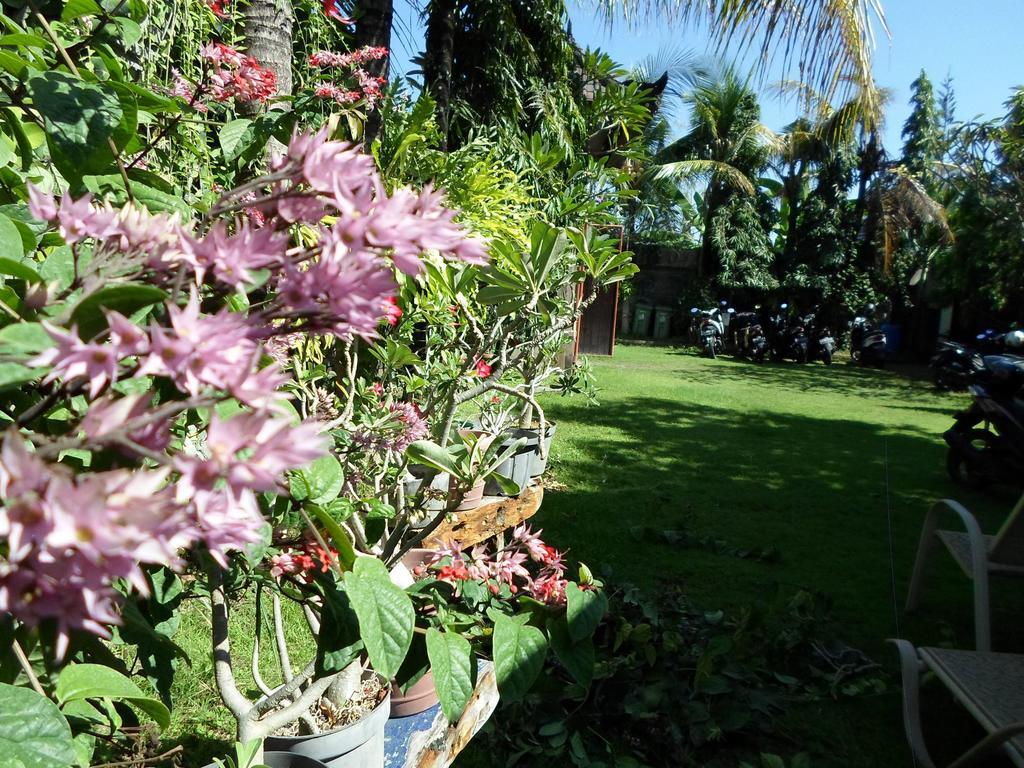 Hotel Bali Aman Darling House Canggu Exteriér fotografie